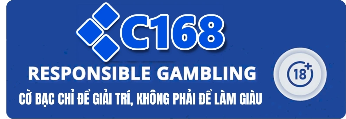 Đánh giá ưu nhược điểm C168 dựa trên trải nghiệm thực tế